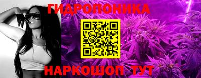 Альфа ПВП Пенза
